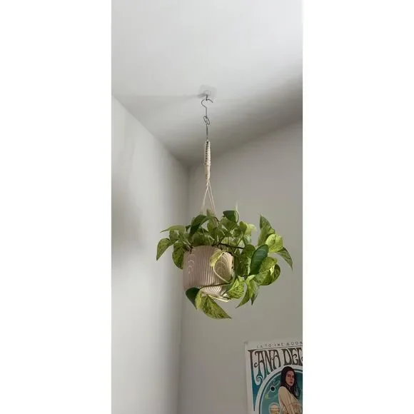 Adhesive Wall Hooks 13LB Heavy Duty No Drill Transparent Waterproof Hooks - Picture 6 of 12